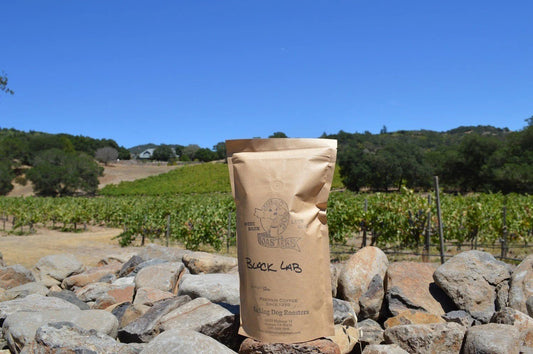 Bag of Black Lab coffee on rocks with a vineyard background